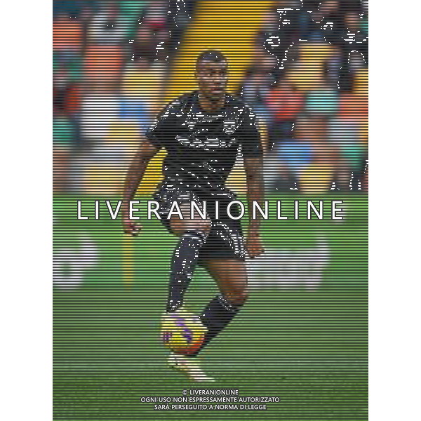 GriffoniE/LMedia - Udinese Calcio vs Genoa CFC - italian soccer Serie A match 2021/2022 28 November 2021 - Friuli - Dacia Arena stadium, Udine, Italy Photo showing: Walace Souza Silva (Udinese) portrait in action @GriffoniE/LMedia/AGENZIA ALDO LIVERANI SAS