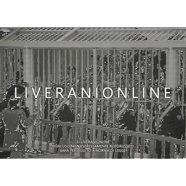 1983 MILANO AULA BUNKER SAN VITTORE PROCESSO ALLA COLONNA DELLE BRIGATE ROSSE WALTER ALASIA AG ALDO LIVERANI SAS