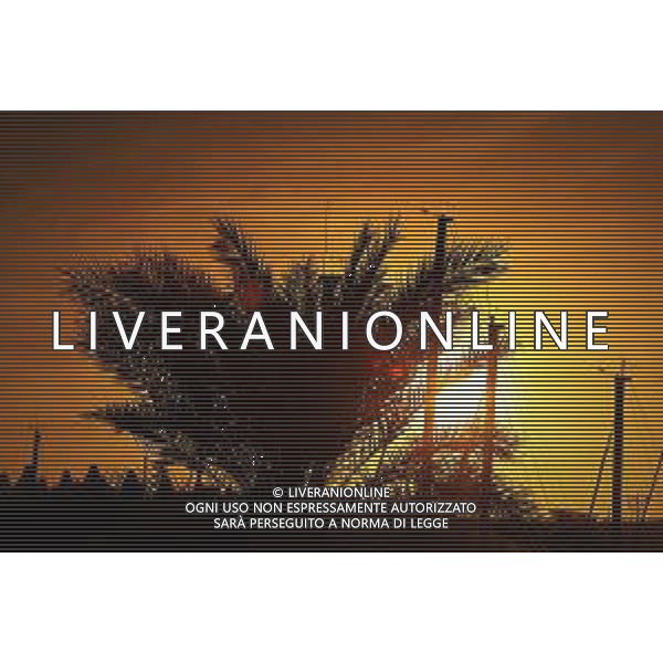 Circuit atmosphere - sunset. 09.12.2021. Formula 1 World Championship, Rd 22, Abu Dhabi Grand Prix, Yas Marina Circuit, Abu Dhabi, Preparation Day. - www.xpbimages.com, EMail: requests@xpbimages.com © Copyright: Moy / XPB Images/AGENZIA ALDO LIVERANI SAS - ITALY ONLY EDITORIAL USE ONLY