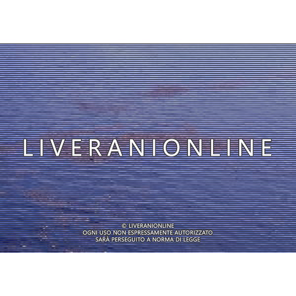1987 COMO-ALLAGAMENTO IN CITTA\' AG ALDO LIVERANI SAS