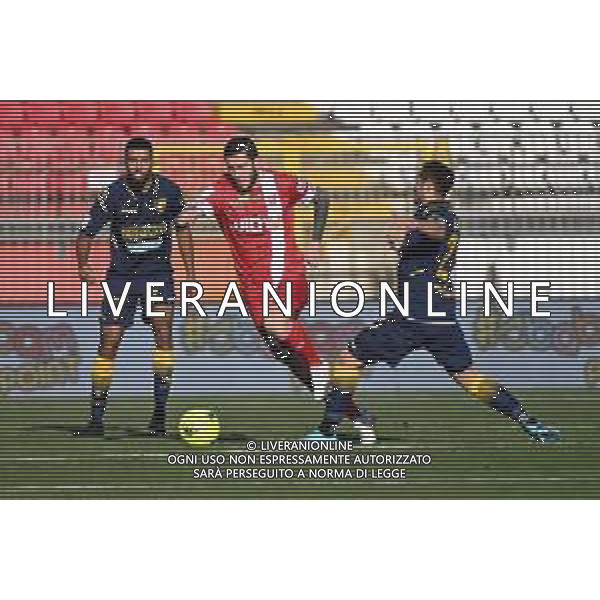¬© TVRG Luca Marrone (Monza) Monza vs Frosinone Campionato Serie BKT - 17a giornata Monza 11-12-2021 U-Power Stadium foto Roberto Garavaglia/ag. Aldo Liverani sas /AGENZIA ALDO LIVERANI SAS