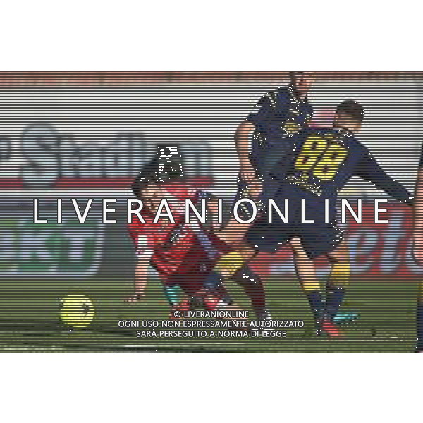 ¬© TVRG Marco D\'Alessandro (Monza) Monza vs Frosinone Campionato Serie BKT - 17a giornata Monza 11-12-2021 U-Power Stadium foto Roberto Garavaglia/ag. Aldo Liverani sas /AGENZIA ALDO LIVERANI SAS