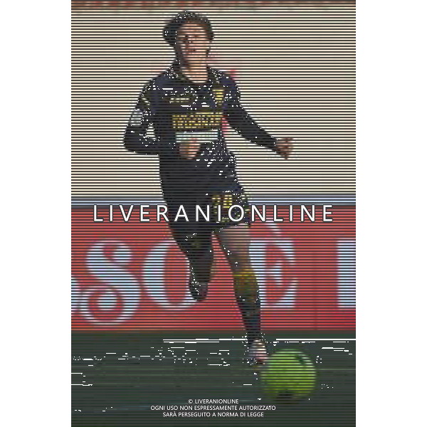 ¬© TVRG Alessio Zerbin (Frosinone) Monza vs Frosinone Campionato Serie BKT - 17a giornata Monza 11-12-2021 U-Power Stadium foto Roberto Garavaglia/ag. Aldo Liverani sas /AGENZIA ALDO LIVERANI SAS