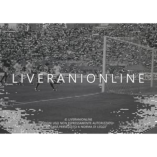 07-06-1992 BOLOGNA CAMPIONATO DI CALCIO SERIE B BOLOGNA-ANCONA 1-1 NELLA FOTO GOAL ERMINI FRANCO AG ALDO LIVERANI SAS