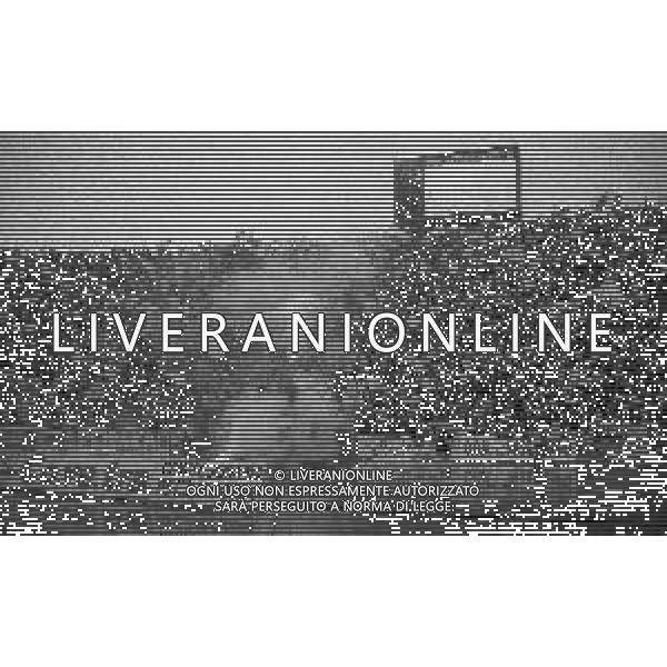 07-06-1992 BOLOGNA CAMPIONATO DI CALCIO SERIE B BOLOGNA-ANCONA 1-1 NELLA FOTO TIFOSI ANCONA AG ALDO LIVERANI SAS