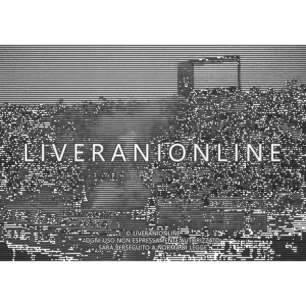 07-06-1992 BOLOGNA CAMPIONATO DI CALCIO SERIE B BOLOGNA-ANCONA 1-1 NELLA FOTO TIFOSI ANCONA AG ALDO LIVERANI SAS