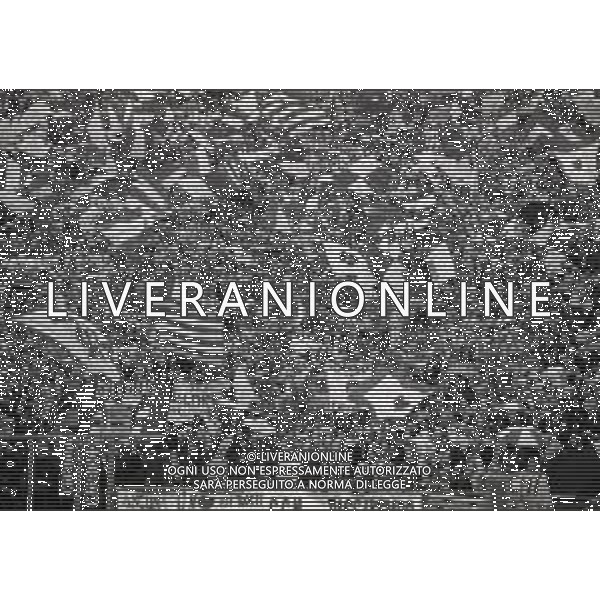 07-06-1992 BOLOGNA CAMPIONATO DI CALCIO SERIE B BOLOGNA-ANCONA 1-1 NELLA FOTO TIFOSI ANCONA AG ALDO LIVERANI SAS