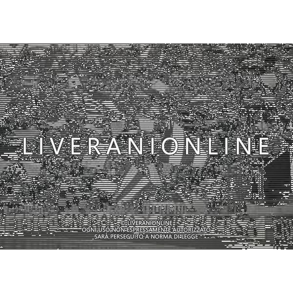 07-06-1992 BOLOGNA CAMPIONATO DI CALCIO SERIE B BOLOGNA-ANCONA 1-1 NELLA FOTO TIFOSI ANCONA AG ALDO LIVERANI SAS