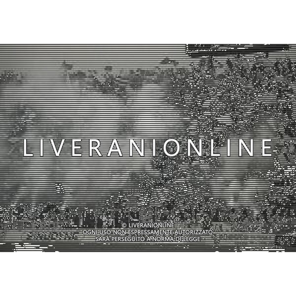 07-06-1992 BOLOGNA CAMPIONATO DI CALCIO SERIE B BOLOGNA-ANCONA 1-1 NELLA FOTO TIFOSI ANCONA AG ALDO LIVERANI SAS