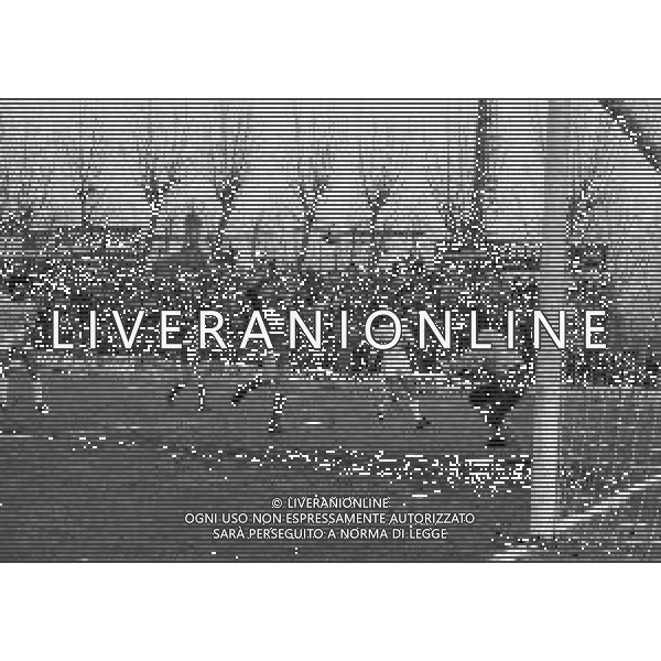 11-01-1981 MONZA CAMPIONATO DI CALCIO SERIE B MONZA-BARI 1-1 NELLA FOTO GOAL DANIELE MASSARO AG ALDO LIVERANI SAS