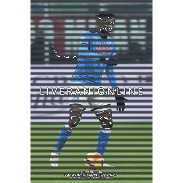Andre Zambo Anguissa (Napoli) Milan vs Napoli Campionato Serie A TIM - 18a giornata Milano 19-12-2021 Stadio Giuseppe Meazza - San Siro foto Roberto Garavaglia/ag. Aldo Liverani sas