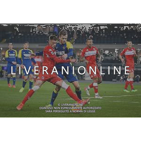 GriffoniE/LMedia - Hellas Verona FC vs ACF Fiorentina - italian soccer Serie A match 2021/2022 22 December 2021 - Marcantonio Bentegodi stadium, Verona, Italy Photo showing: Fiorentina\'s Aleksa Terzic in action against Verona\'s Ivan Ilic @GriffoniE/LMedia/AGENZIA ALDO LIVERANI SAS