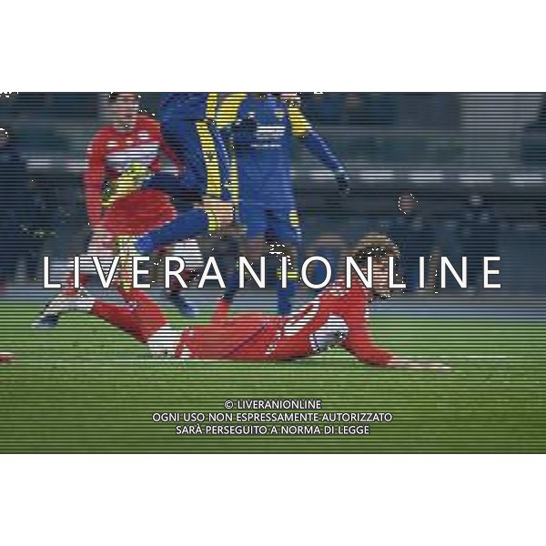 GriffoniE/LMedia - Hellas Verona FC vs ACF Fiorentina - italian soccer Serie A match 2021/2022 22 December 2021 - Marcantonio Bentegodi stadium, Verona, Italy Photo showing: Fiorentina\'s Gaetano Castrovilli scores a goal 1-1 @GriffoniE/LMedia/AGENZIA ALDO LIVERANI SAS