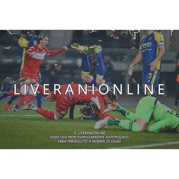 GriffoniE/LMedia - Hellas Verona FC vs ACF Fiorentina - italian soccer Serie A match 2021/2022 22 December 2021 - Marcantonio Bentegodi stadium, Verona, Italy Photo showing: Fiorentina\'s Gaetano Castrovilli scores a goal 1-1 @GriffoniE/LMedia/AGENZIA ALDO LIVERANI SAS