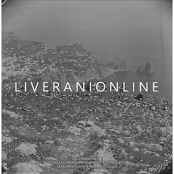 RETROSPETTIVA 1950 - GOLFO DI NAPOLI - ISOLA DI CAPRI VEDUTA DEI FARAGLIONI ©Archivio Giovanni Liverani/AG. ALDO LIVERANI SAS