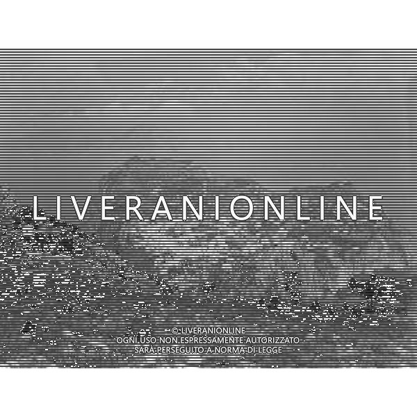 RETROSPETTIVA 1950 - GOLFO DI NAPOLI - VEDUTA DELL\'ISOLA DI CAPRI ©Archivio Giovanni Liverani/AG. ALDO LIVERANI SAS
