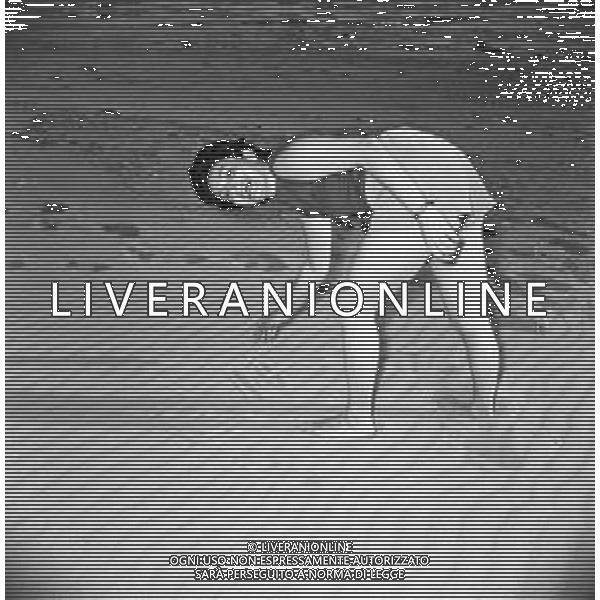 RETROSPETTIVA EVA FISCHER PITTRICE JUGOSLAVA NATURALIZZATA ITALIANA AL MARE SULLA SPIAGGIA NEGLI ANNI \'50-60 ©Archivio Giovanni Liverani/AGENZIA ALDO LIVERANI SAS