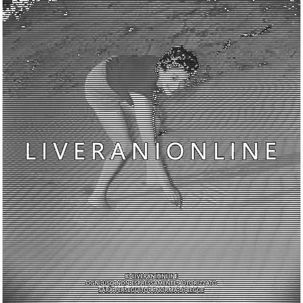 RETROSPETTIVA EVA FISCHER PITTRICE JUGOSLAVA NATURALIZZATA ITALIANA AL MARE SULLA SPIAGGIA NEGLI ANNI \'50-60 ©Archivio Giovanni Liverani/AGENZIA ALDO LIVERANI SAS