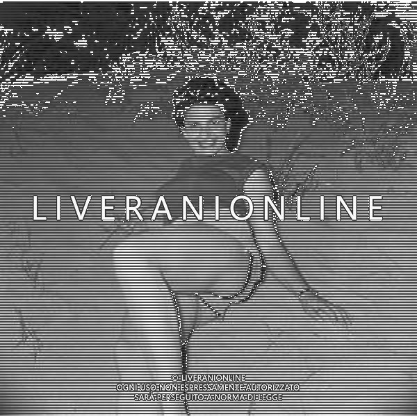 RETROSPETTIVA EVA FISCHER PITTRICE JUGOSLAVA NATURALIZZATA ITALIANA AL MARE SULLA SPIAGGIA NEGLI ANNI \'50-60 ©Archivio Giovanni Liverani/AGENZIA ALDO LIVERANI SAS