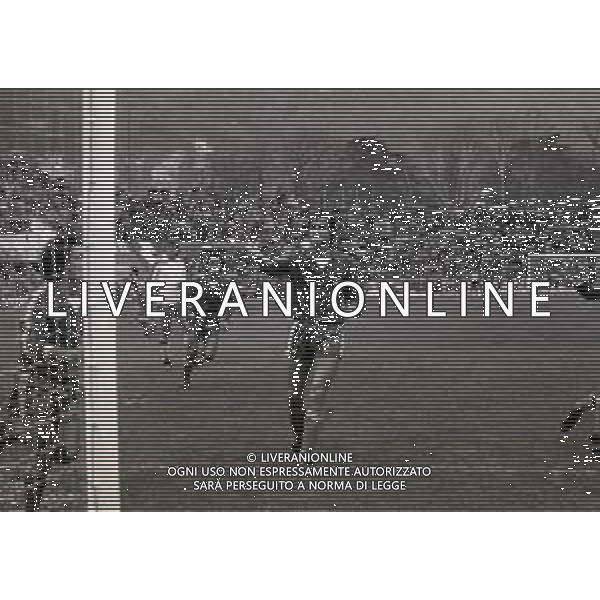 28-11-1983 COMO CAMPIONATO DI CALCIO SERIE B COMO CATANIA 1-0 NELLA FOTO GOAL COMO CALCIO AG ALDO LIVERANI SAS
