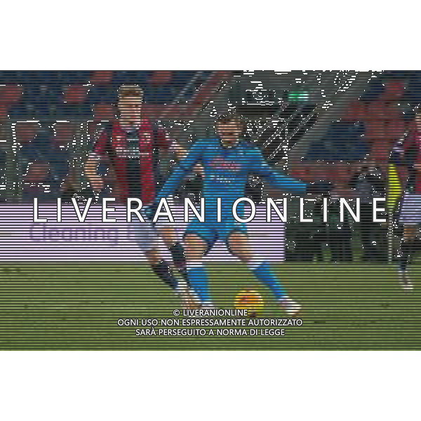 BOLOGNA vs NAPOLI CAMPIONATO CALCIO SERIE A TIM 17.01.2022 NELLA FOTO FABIAN RUIZ E MATTIAS SVANBERG © VILLANI / AGENZIA ALDO LIVERANI SAS