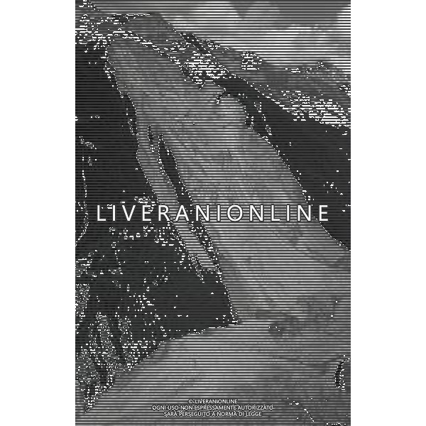 1987 FRANA DI SANT \'ANTONIO MORIGNONE VALTELLINA NELLA FOTO LA FRANA DI SANT\'ANTONIO MORIGNONE IN VALTELLINA AG ALDO LIVERANI SAS
