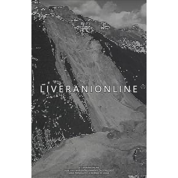 1987 FRANA DI SANT \'ANTONIO MORIGNONE VALTELLINA NELLA FOTO LA FRANA DI SANT\'ANTONIO MORIGNONE IN VALTELLINA AG ALDO LIVERANI SAS