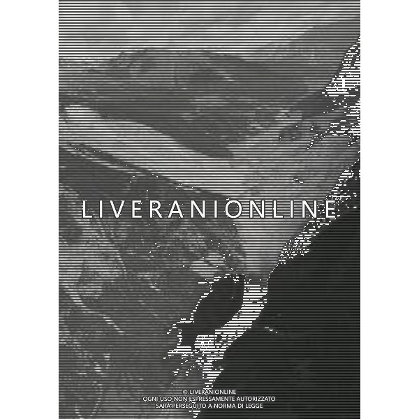1987 FRANA DI SANT \'ANTONIO MORIGNONE VALTELLINA NELLA FOTO LA FRANA DI SANT\'ANTONIO MORIGNONE IN VALTELLINA AG ALDO LIVERANI SAS