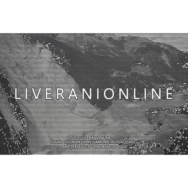 1987 FRANA DI SANT \'ANTONIO MORIGNONE VALTELLINA NELLA FOTO LA FRANA DI SANT\'ANTONIO MORIGNONE IN VALTELLINA AG ALDO LIVERANI SAS
