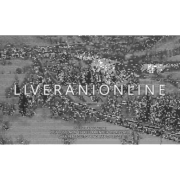 1984 DOGANA AL MONTE BIANCO FILA DI TIR PER LO SCIOPERO DEI DOGANIERI AG ALDO LIVERANI SAS