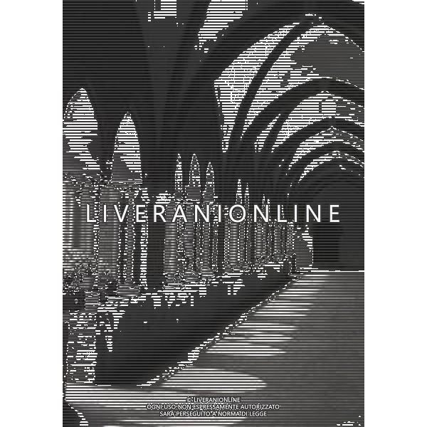 1980 MILANO ABBAZIA DI CHIARAVALE AG ALDO LIVERANI SAS