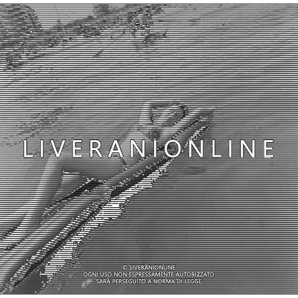 RETROSPETTIVA LORETTA GOGGI ATTRICE E CANTANTE NELLA FOTO IN COSTUME AL MARE A RIMINI NELL\'AGOSTO DEL 1969 ©archivio Giovanni Liverani/AGENZIA ALDO LIVERANI SAS