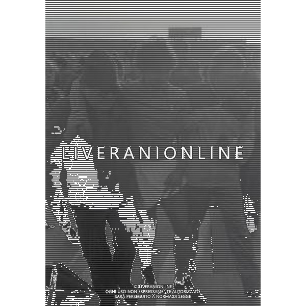 04-12-1982 FIRENZE QUALIFICAZIONE PER GLI EUROPEI DI CALCIO ITALIA-ROMANIA 0-0 NELLA FOTO L\'INFORTUNIO DI PAOLO ROSSI AG ALDO LIVERANI SAS