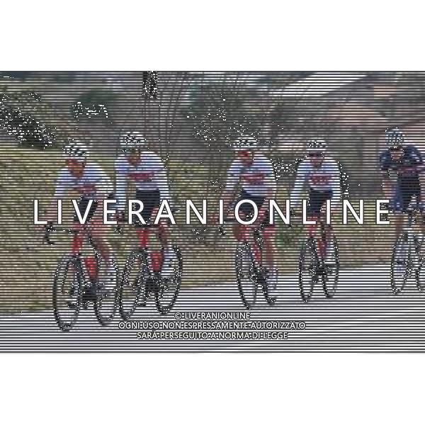 03-02-2022 Etoile De Besseges; Tappa 02 Saint Christol Lez Ales - Rousson; 2022, Trek - Segafredo; Tiberi, Antonio; Baroncini, Filippo; ©SIROTTI/AGENZIA ALDO LIVERANI SAS