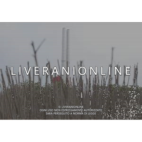 IMOLA 05 02 2022 INCONTRO TRA IL COMUNE DI IMOLA CON ASSESSORE ALL\'AMBIENTE ELISA SPADA E I CITTADINI DELLA ZONA MONTERICCO PER PARLARE DELLA "NUOVA AREA ATTREZZATA MULTIFUNZIONALE PER RACCOLTA DIFFERENZIATA NELLA FOTO EX CENTRALE HERA Â©SANNA/ AGENZIA ALDO LIVERANI SAS