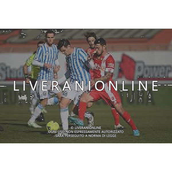 ¬© TVRG Marco Pinato (Spal) e Pedro Pereira (Monza) Monza vs Spal Campionato Serie BKT - 22a giornata Monza 12-02-2022 U-Power Stadium foto Roberto Garavaglia/ag. Aldo Liverani sas /AGENZIA ALDO LIVERANI SAS