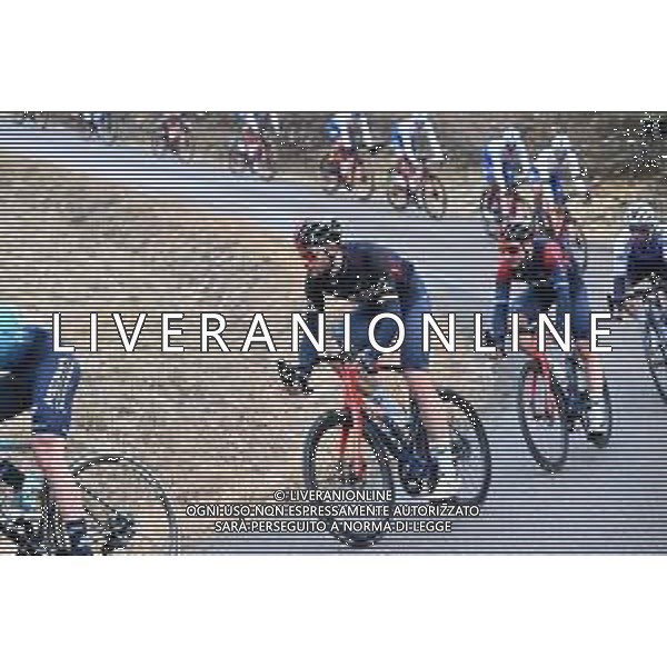 13-02-2022 Tour De La Provence; Tappa 03 Manosque - Montagne De Lure; 2022, Ineos - Grenadiers; Ganna, Filippo; ©SIROTTI/AGENZIA ALDO LIVERANI SAS