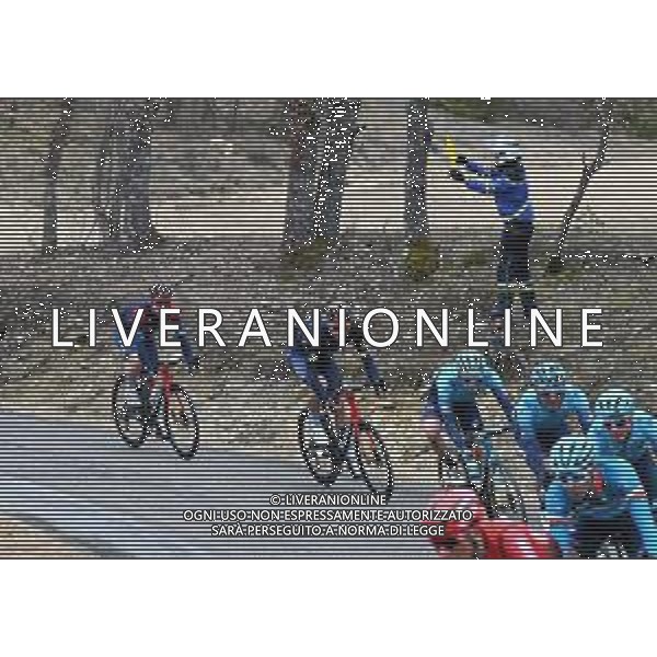 13-02-2022 Tour De La Provence; Tappa 03 Manosque - Montagne De Lure; 2022, Ineos - Grenadiers; Ganna, Filippo; Viviani, Elia; ©SIROTTI/AGENZIA ALDO LIVERANI SAS