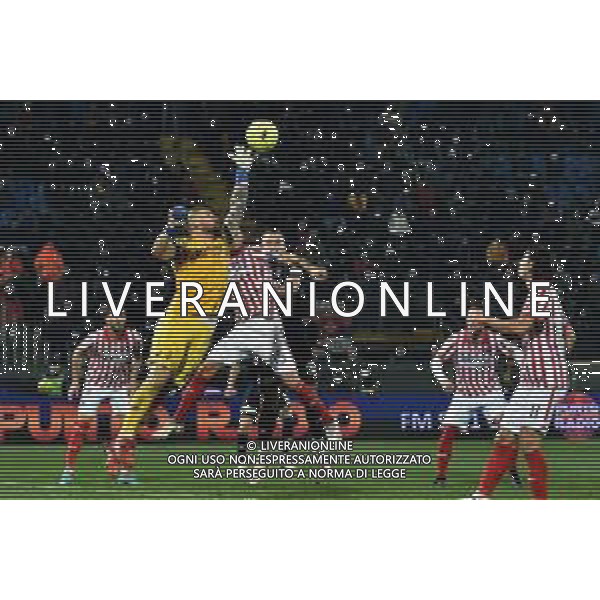 Gabriele Masotti/LMedia - AC Pisa vs LR Vicenza - Italian soccer Serie B match 2021/2022 February 15 2022 - Arena Garibaldi Pisa, Italy AC Pisa vs LR Vicenza Photo showing: Nikita Contini Barannovsky (Vicenza) saves the goal @Gabriele Masotti/LiveMedia /AGENZIA ALDO LIVERANI SAS