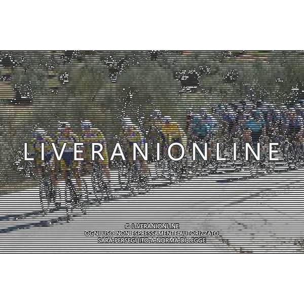 17-02-2022 Vuelta Andalucia; Tappa 02 Archidona - Alcala La Real; 2022, Sport Vlaanderen - Baloise; Herregodts, Rune; ©SIROTTI/AGENZIA ALDO LIVERANI SAS