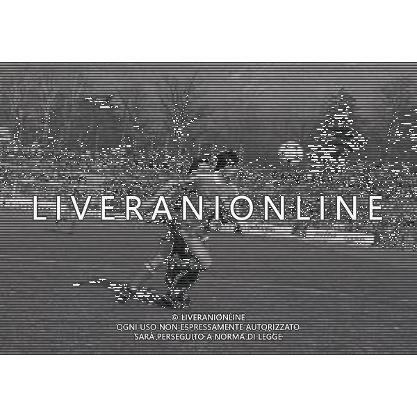 11-03-1984 COMO CAMPIONATO DI CALCIO SERIE B COMO-MONZA 1-0 NELLA FOTO CLAUDIO AMBU AG ALDO LIVERANI SAS