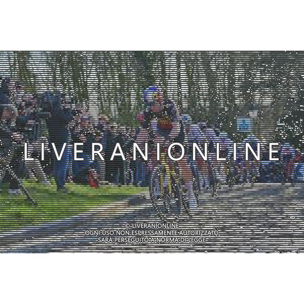 26-02-2022 Het Nieuwsblad; 2022, Jumbo - Visma; Van Aert, Wout; Muro Di Grammont; ©SIROTTI/AGENZIA ALDO LIVERANI SAS