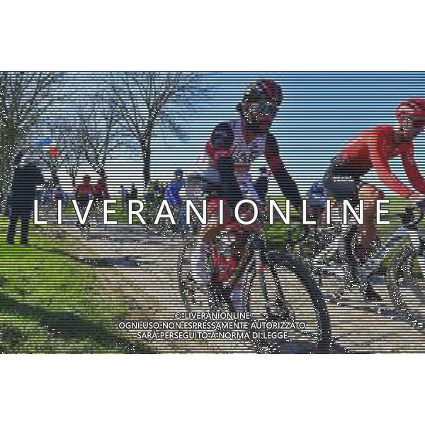 26-02-2022 Het Nieuwsblad; 2022, Uae Emirates; Gaviria Rendon, Fernando; ©SIROTTI/AGENZIA ALDO LIVERANI SAS