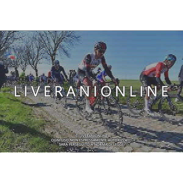 26-02-2022 Het Nieuwsblad; 2022, Uae Emirates; Covi, Alessandro; ©SIROTTI/AGENZIA ALDO LIVERANI SAS
