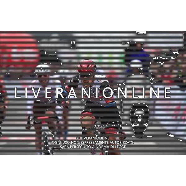 01-03-2022 Le Samyn; 2022, Uae Emirates; Trentin, Matteo; Dour; ©SIROTTI/AGENZIA ALDO LIVERANI SAS