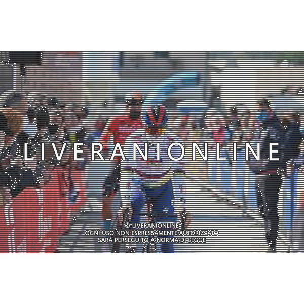08-03-2022 Tirreno - Adriatico; Tappa 02 Camaiore - Sovicille; 2022, Totalenergie; Sagan, Peter; Camaiore; ©SIROTTI/AGENZIA ALDO LIVERANI SAS
