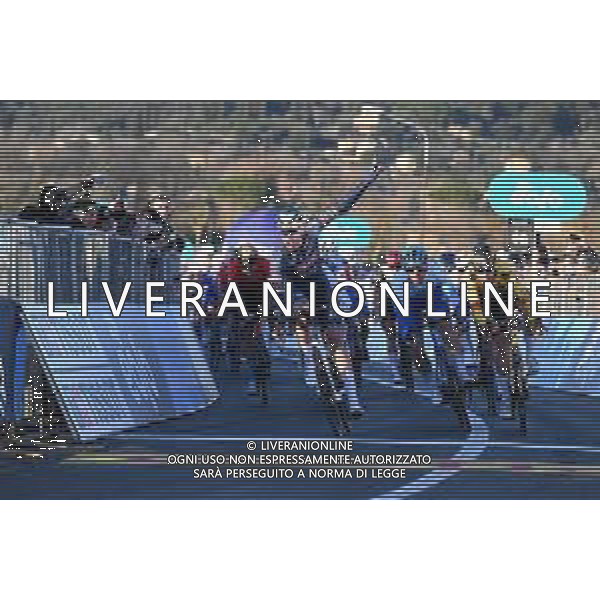 08-03-2022 Tirreno - Adriatico; Tappa 02 Camaiore - Sovicille; 2022, Alpecin - Fenix; 2022, Jumbo - Visma; 2022, Bikeexchange - Jayco; Merlier, Tim; Kooij, Olav; Groves, Kaden; Sovicille; ©SIROTTI/AGENZIA ALDO LIVERANI SAS