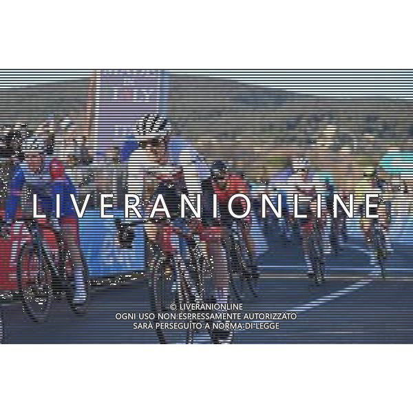 08-03-2022 Tirreno - Adriatico; Tappa 02 Camaiore - Sovicille; 2022, Trek - Segafredo; Moschetti, Matteo; Sovicille; ©SIROTTI/AGENZIA ALDO LIVERANI SAS