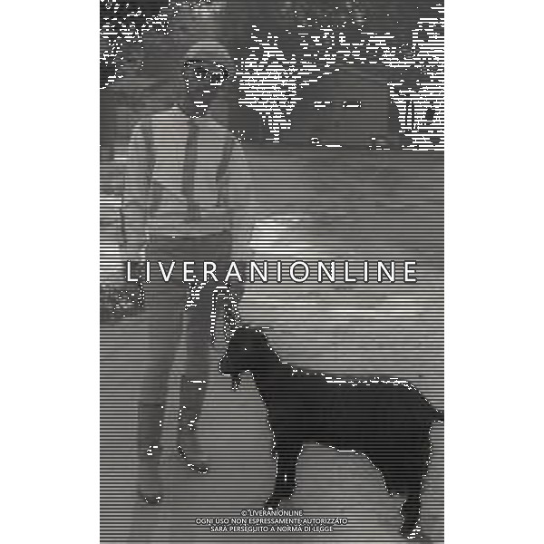 RETROSPETTIVA MASSIMO FARINELLI ATTORE NELLA FOTO MASSIMO FARINELLI A ROMA NELL\'ANNO 1968 AG ALDO LIVERANI SAS
