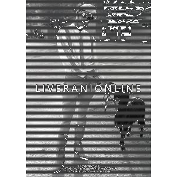 RETROSPETTIVA MASSIMO FARINELLI ATTORE NELLA FOTO MASSIMO FARINELLI A ROMA NELL\'ANNO 1968 AG ALDO LIVERANI SAS